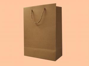 kraft paper gift  bag